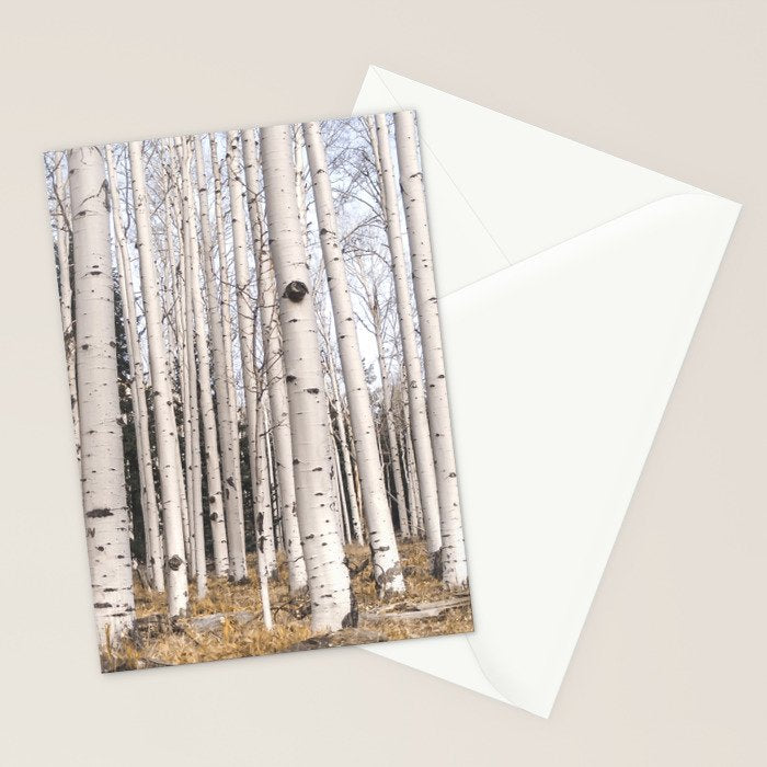Trees of Reason - Birch Forest Stationery Card Gallery Image 2