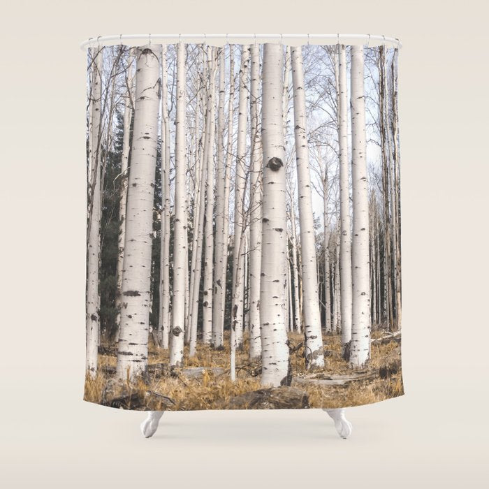 Trees of Reason - Birch Forest Shower Curtain Gallery Image 1