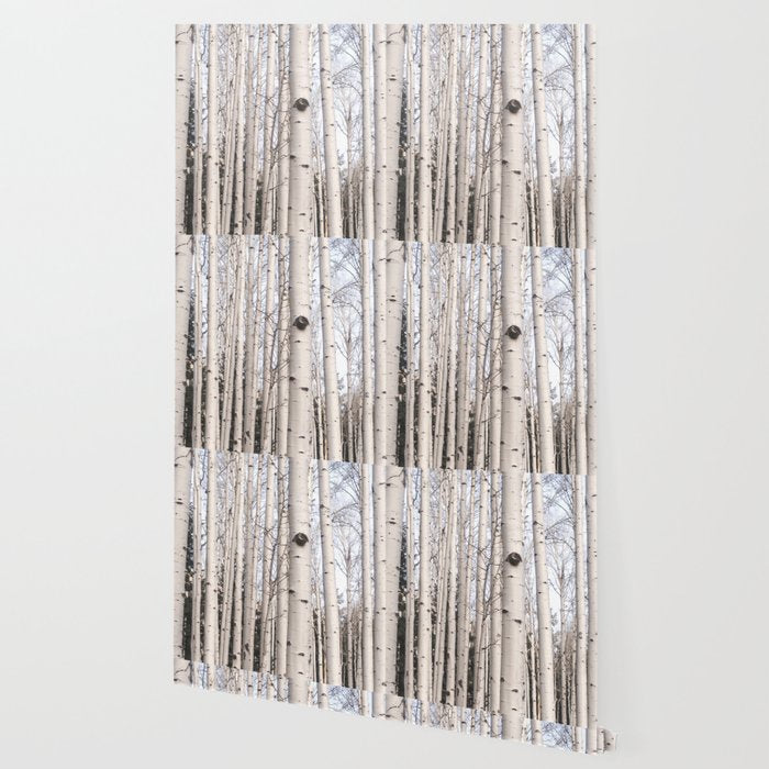 Trees of Reason - Birch Forest Wallpaper Gallery Image 2