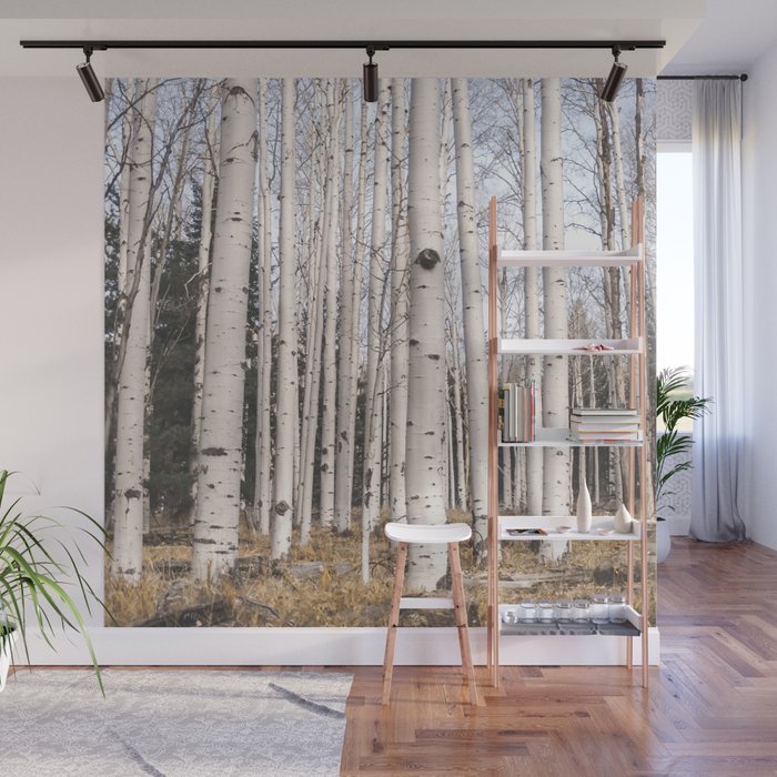 Trees of Reason - Birch Forest Wall Mural Gallery Image 1