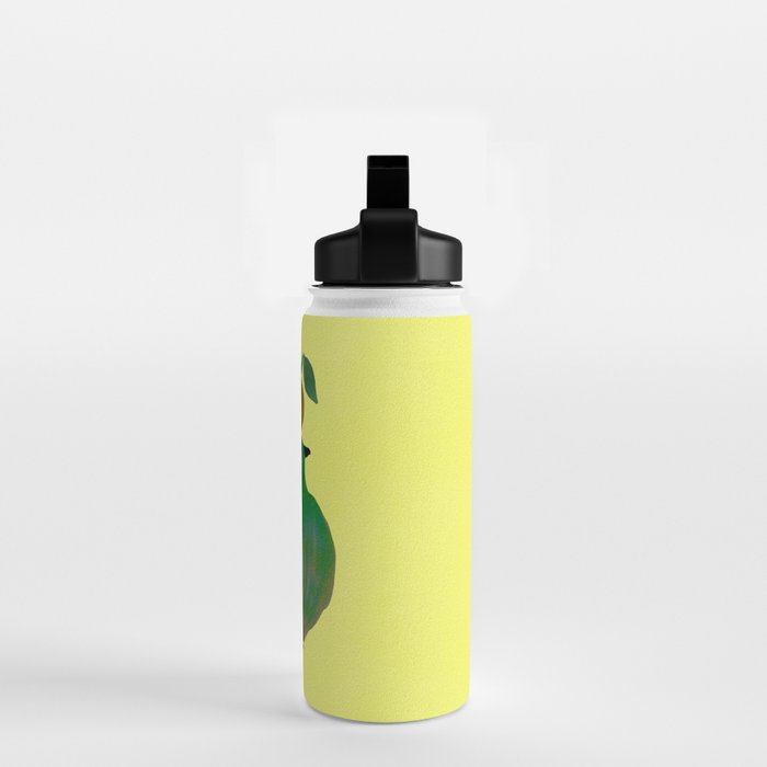 Fat Round Bird and Orange - Green and Yellow Water Bottle Gallery Image 2