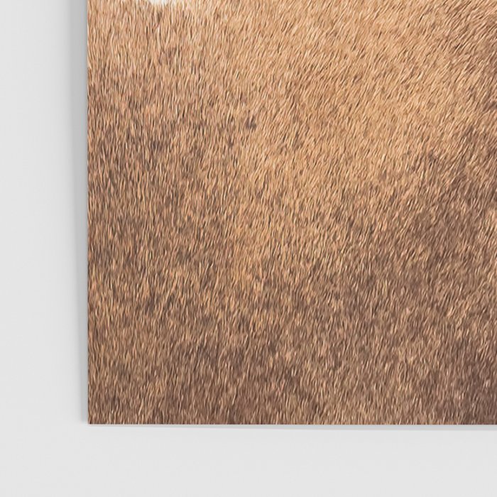 Faux Cowhide Leather [ii.2021] Poster Gallery Image 3