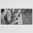 Black Cats Auditioning in Hollywood black and white photograph Desk Mat Gallery Image 3