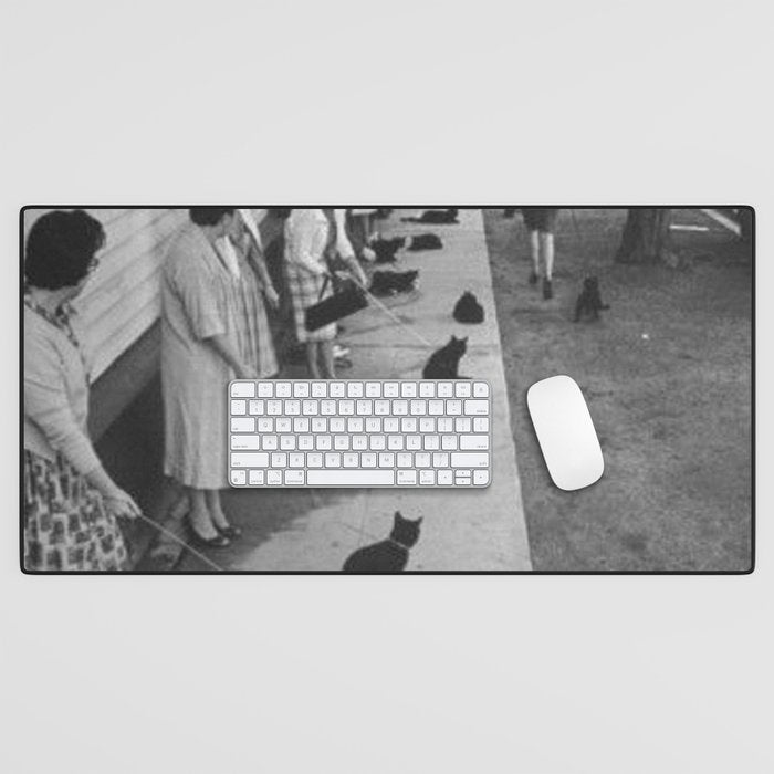 Black Cats Auditioning in Hollywood black and white photograph Desk Mat Gallery Image 1
