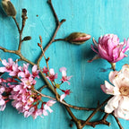 Flowers of Spring - colorful floral still life photograph Coffee Mug Gallery Image 2