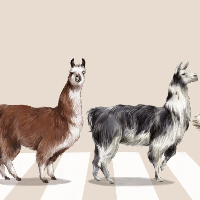 Llama The Abbey Road #2 Coffee Mug Gallery Image 2