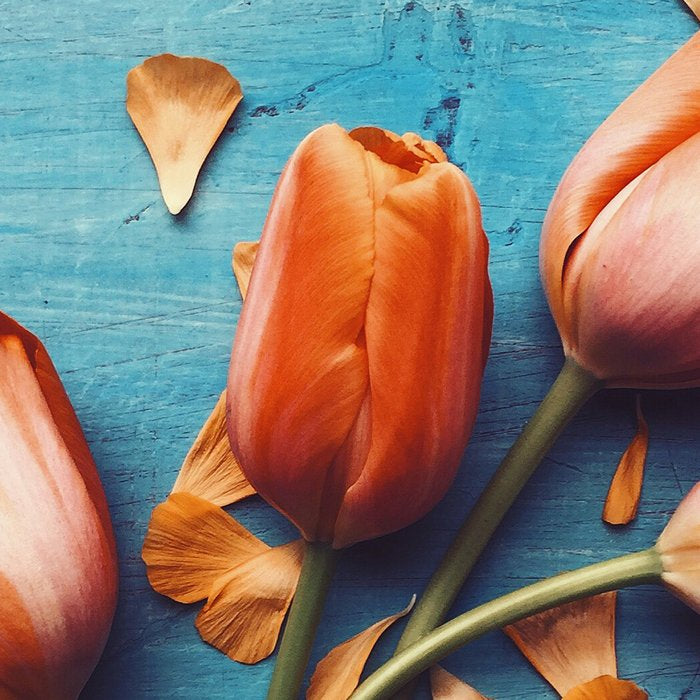 Orange Tulips Coffee Mug Gallery Image 2