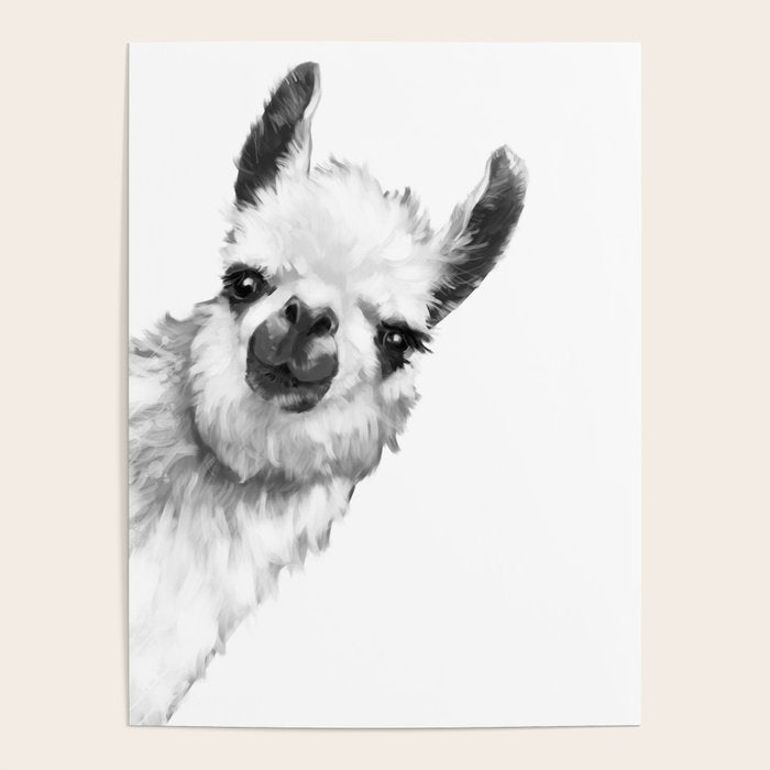 Sneaky Llama Black and White Poster Gallery Image 1