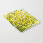 Morning Light Notebook Gallery Image 3