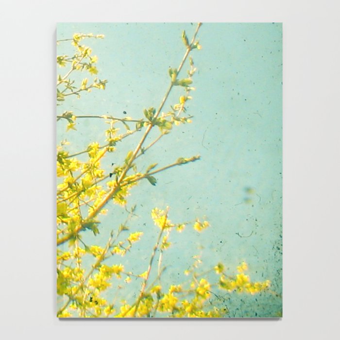 Morning Light Notebook Gallery Image 4