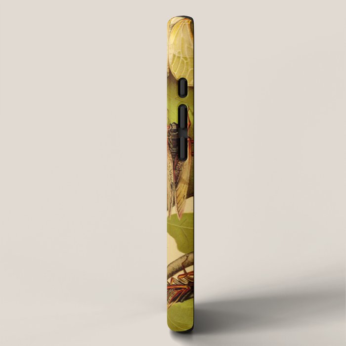 Transformation of Cicada Septemdecim by Lillie Sullivan, 1898 (benefitting The Nature Conservancy) iPhone Case Gallery Image 2