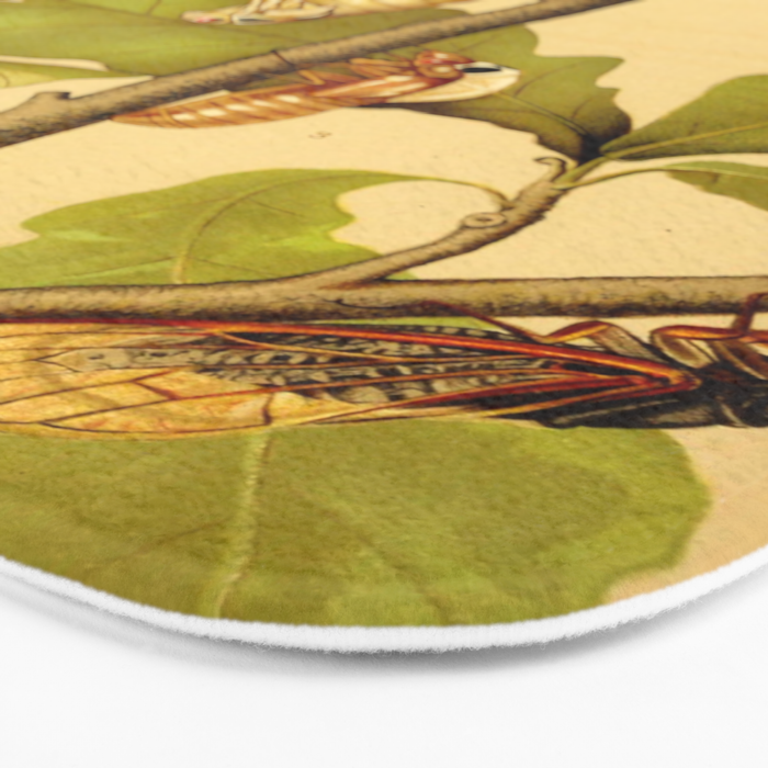 Transformation of Cicada Septemdecim by Lillie Sullivan, 1898 (benefitting The Nature Conservancy) Bath Mat Gallery Image 3