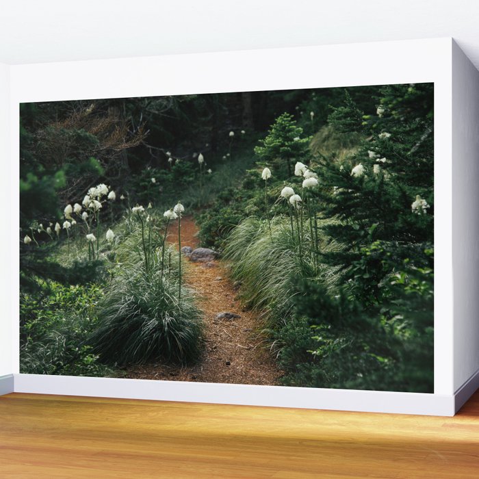 Bear Grass Trail Wall Mural Gallery Image 2