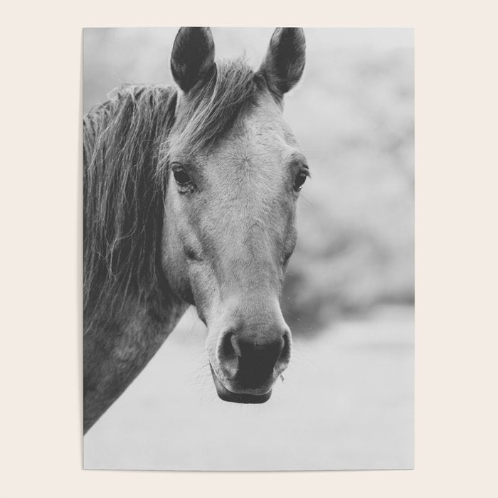 Wild Heart, No. 4 Poster Gallery Image 4