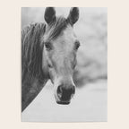 Wild Heart, No. 4 Poster Gallery Image 4