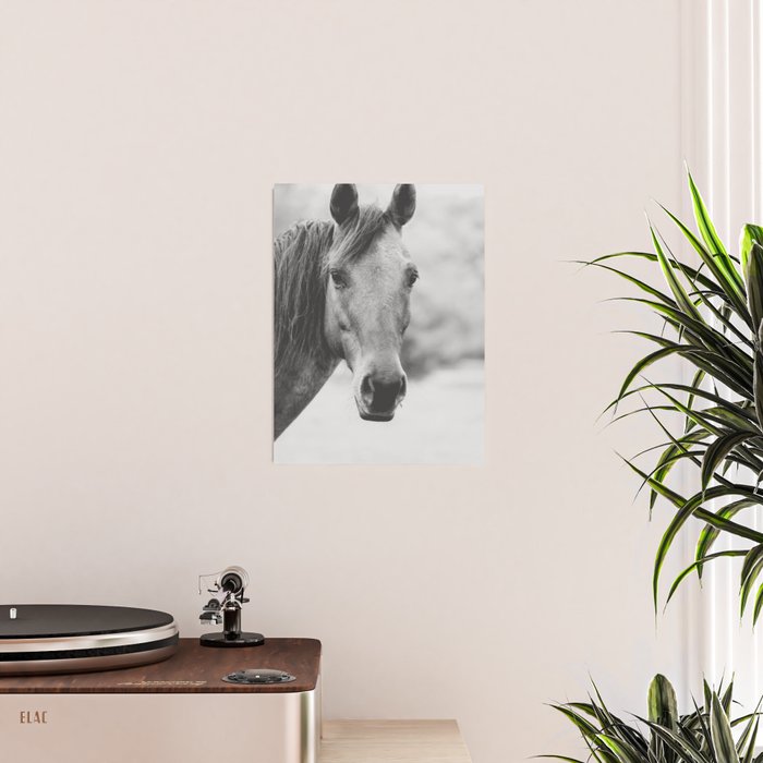 Wild Heart, No. 4 Poster Gallery Image 2