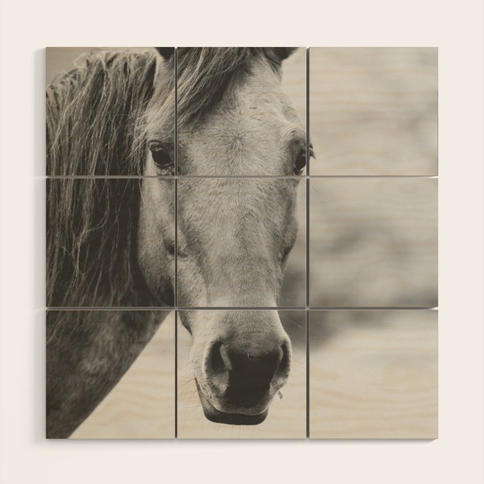 Wild Heart, No. 4 Wood Wall Art Gallery Image 1