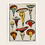 SEXY MUSHROOMS Poster Gallery Image 4