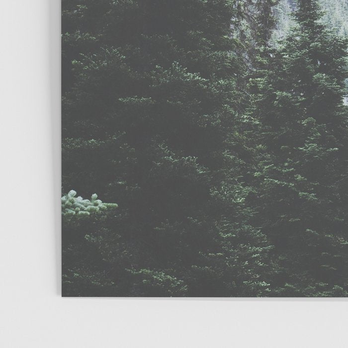 Forest Window Poster Gallery Image 3