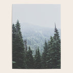 Forest Window Poster Gallery Image 4