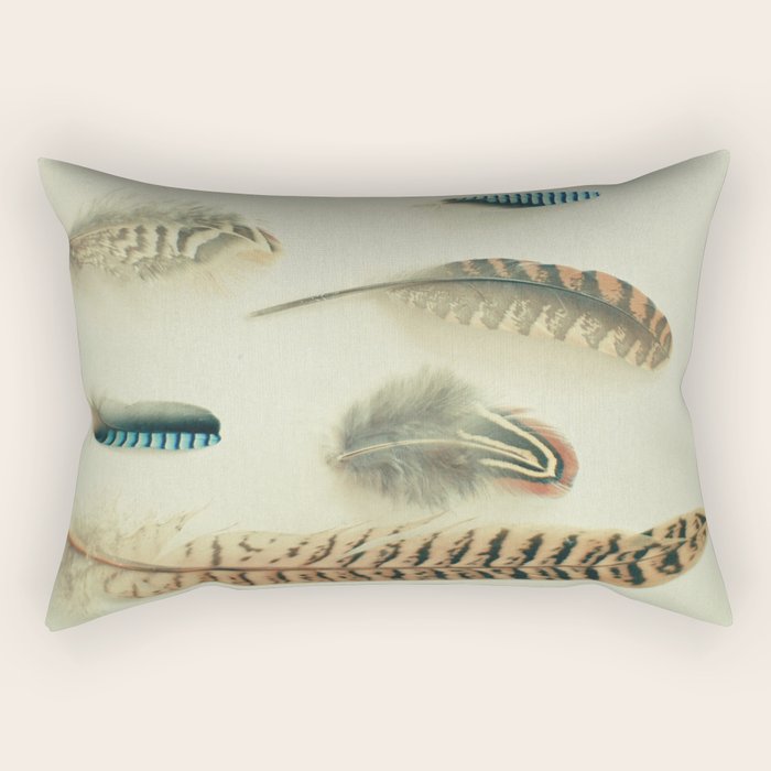 The Feather Collection Rectangular Pillow Gallery Image 1