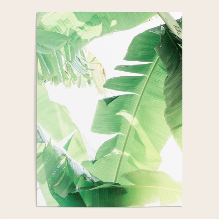 Jungle Abstract II Poster Gallery Image 4