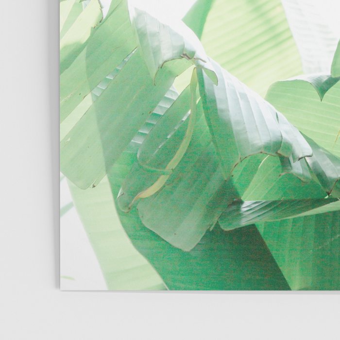 Jungle Abstract II Poster Gallery Image 3
