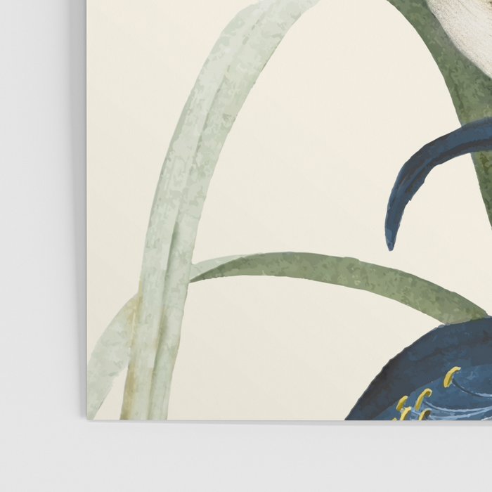 Little Bird and Flowers II Poster Gallery Image 3