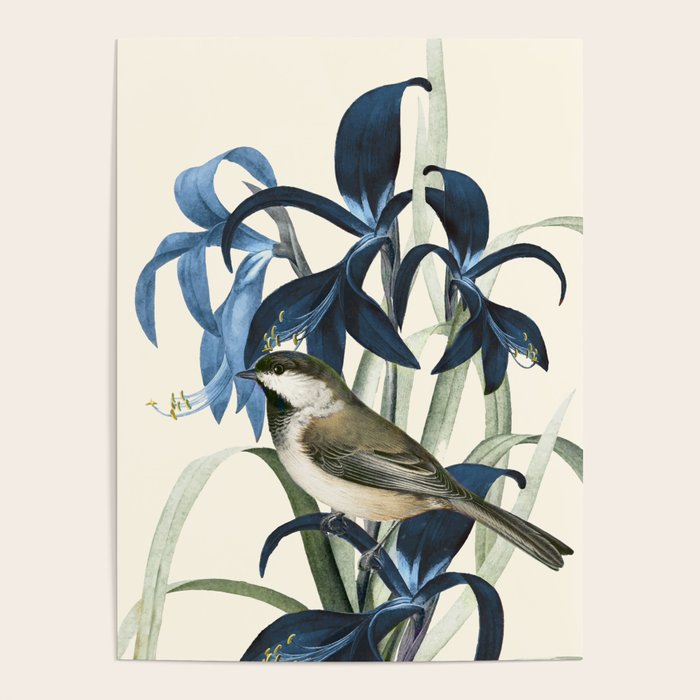 Little Bird and Flowers II Poster Gallery Image 4