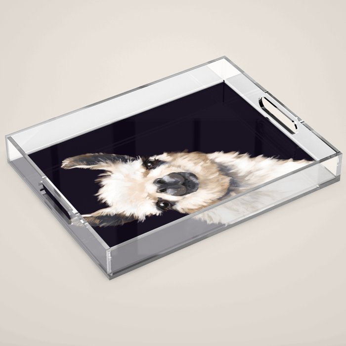Sneaky Llama in Black Acrylic Tray Gallery Image 1