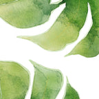 Monstera watercolor I Coffee Mug Gallery Image 2