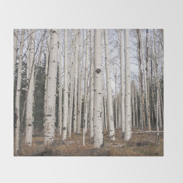 Trees of Reason - Birch Forest Throw Blanket Gallery Image 2