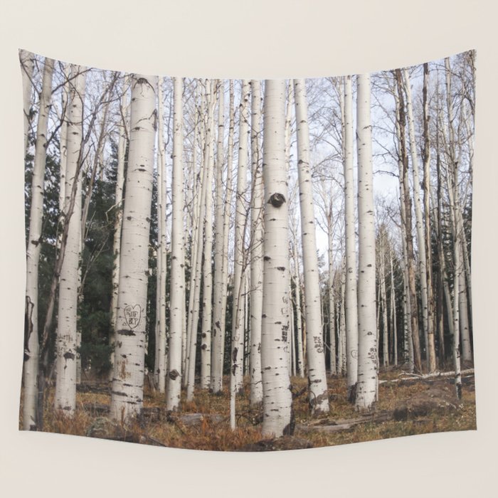 Trees of Reason - Birch Forest Wall Tapestry Gallery Image 1