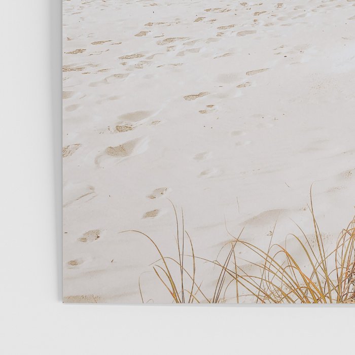 summer beach xxiii Poster Gallery Image 3