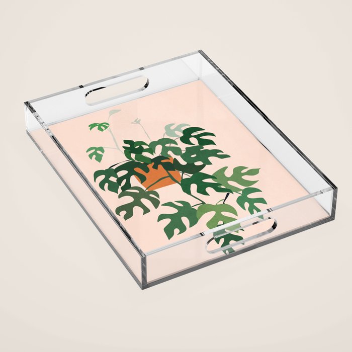 Plant 8 Acrylic Tray Gallery Image 1