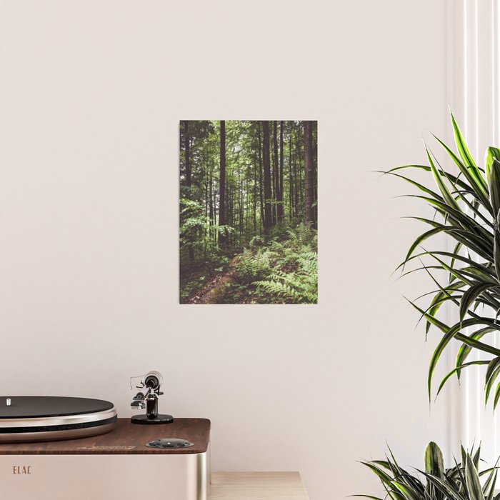 Woodland - Landscape and Nature Photography Poster Gallery Image 2