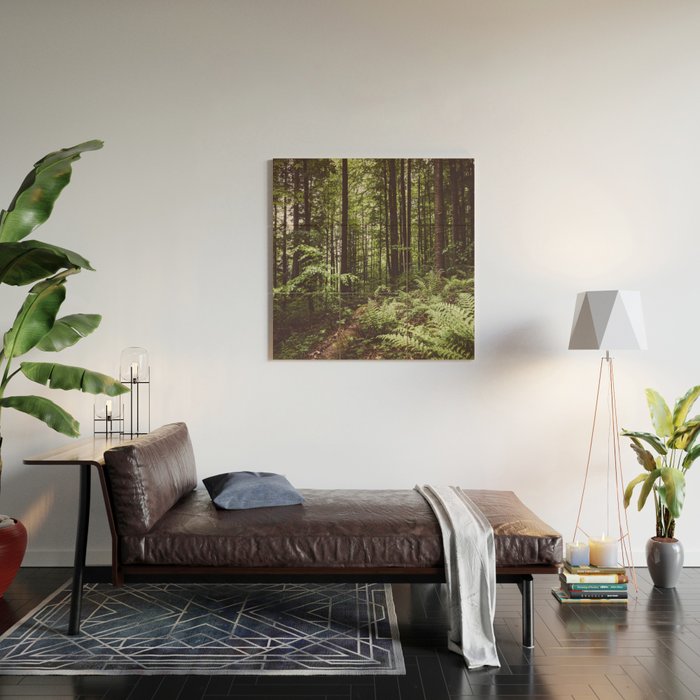 Woodland - Landscape and Nature Photography Wood Wall Art Gallery Image 2