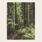 Woodland - Landscape and Nature Photography Poster Gallery Image 4