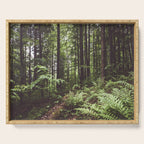Woodland - Landscape and Nature Photography Serving Tray Gallery Image 1