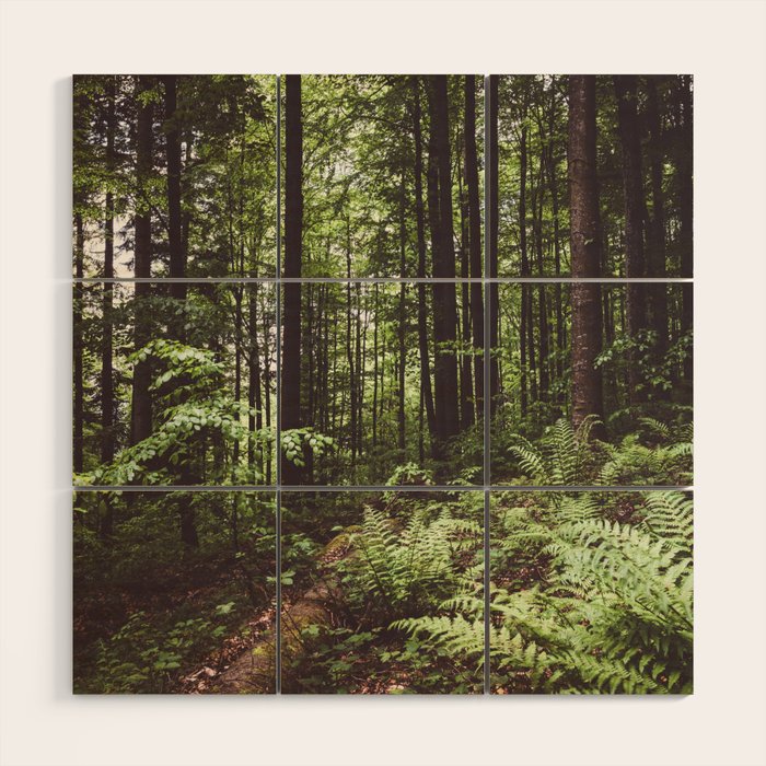 Woodland - Landscape and Nature Photography Wood Wall Art Gallery Image 1
