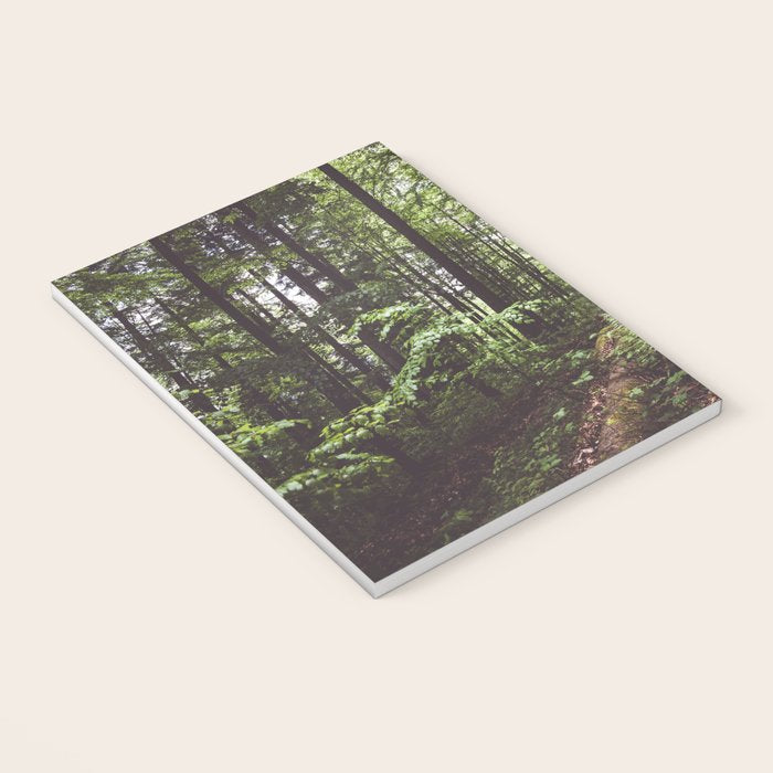 Woodland - Landscape and Nature Photography Notebook Gallery Image 3