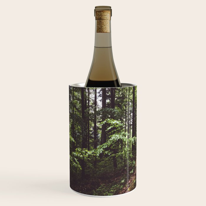 Woodland - Landscape and Nature Photography Wine Chiller Gallery Image 2