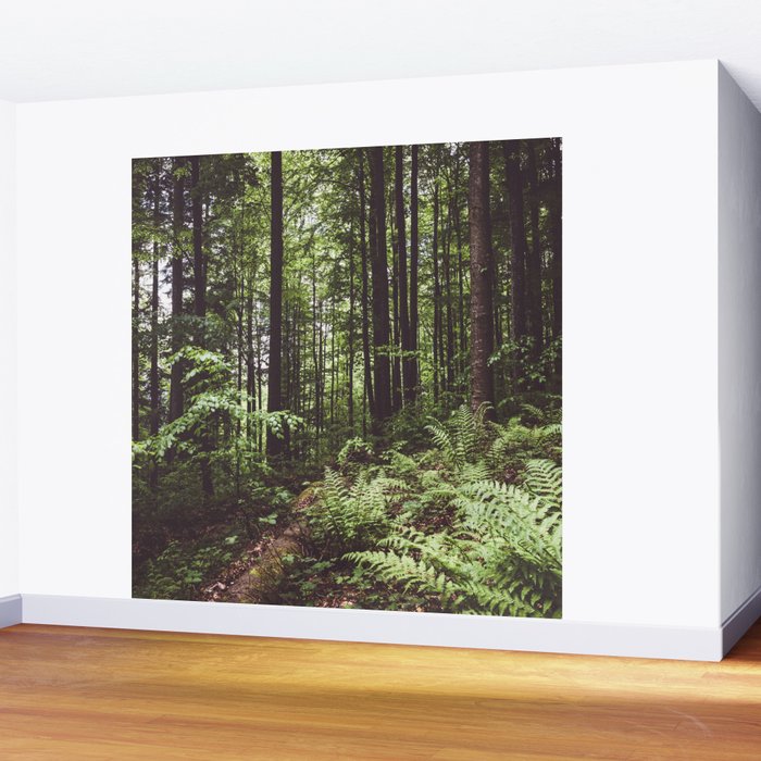Woodland - Landscape and Nature Photography Wall Mural Gallery Image 2