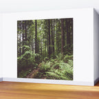 Woodland - Landscape and Nature Photography Wall Mural Gallery Image 2
