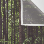 Woodland - Landscape and Nature Photography Wall Tapestry Gallery Image 3