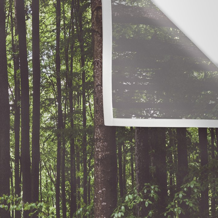 Woodland - Landscape and Nature Photography Wall Tapestry Gallery Image 3