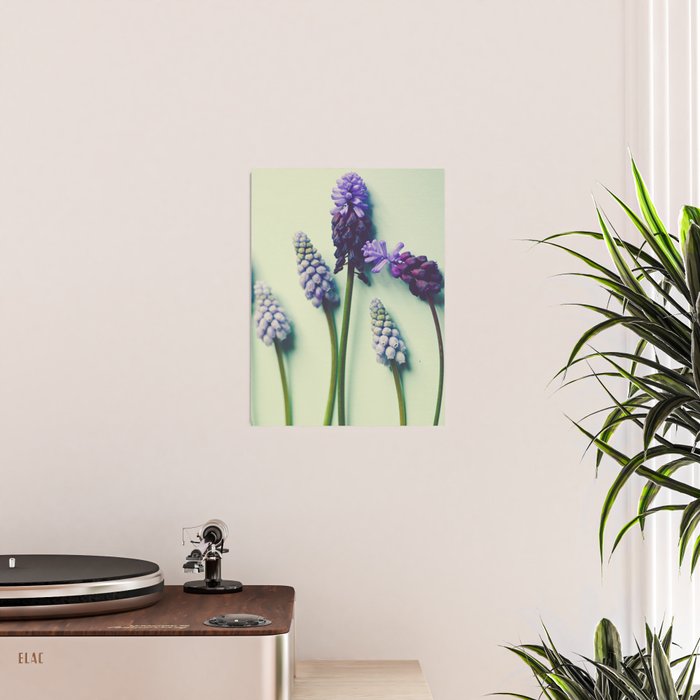Pretty Blue Flowers Poster Gallery Image 2