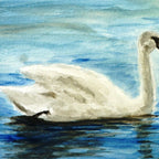 swan Coffee Mug Gallery Image 2