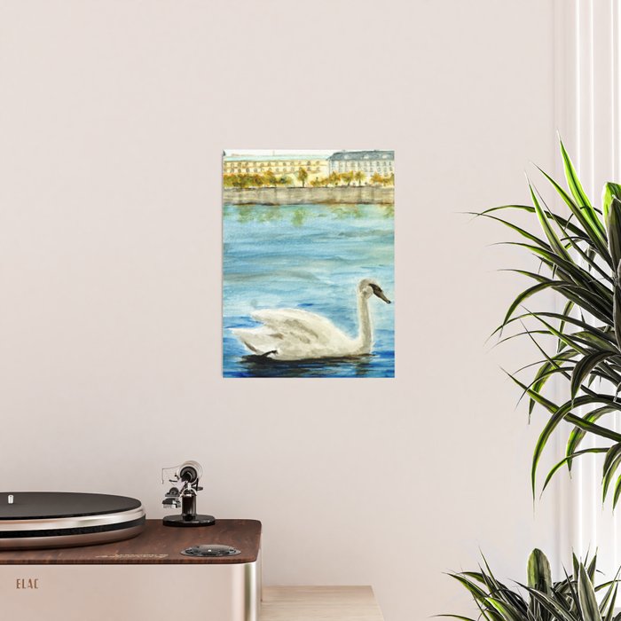 swan Poster Gallery Image 2