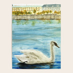 swan Poster Gallery Image 4